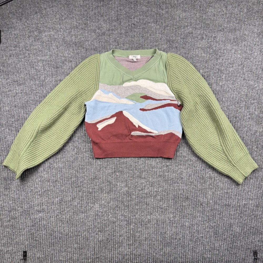 Lily Landscape Scenic Knit Cropped Sweater Colorblock Artsy Boho V Neck XS‎ 936 - Picture 2 of 11